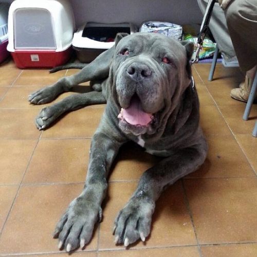 Imagen de uno de nuestros clientes