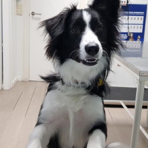 Imagen de uno de nuestros clientes