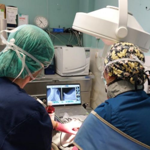 Realizando una operación en el quirófano