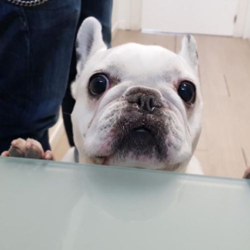 Imagen de uno de nuestros clientes