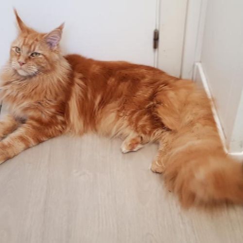 Imagen de uno de nuestros clientes