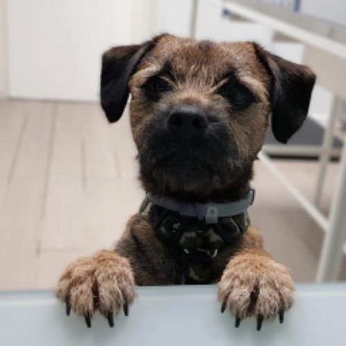 Imagen de uno de nuestros clientes