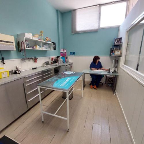 Vista general de la consulta