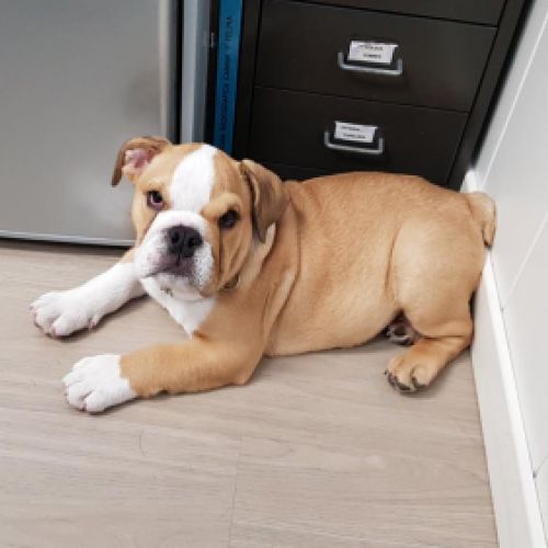 Imagen de uno de nuestros clientes