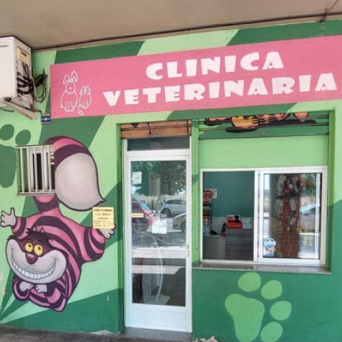 Primer plano de la fachada de la clínica