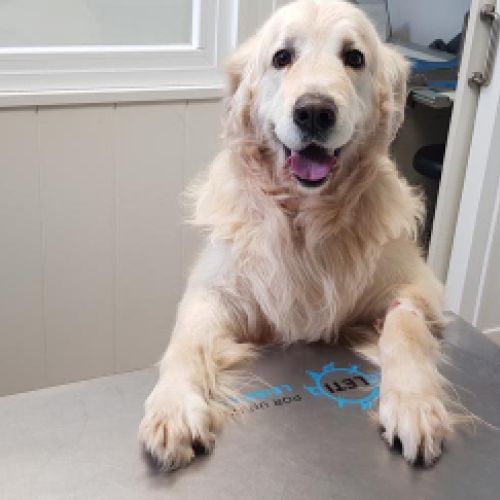 Imagen de uno de nuestros clientes