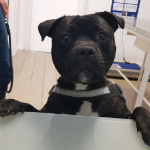 Imagen de uno de nuestros clientes