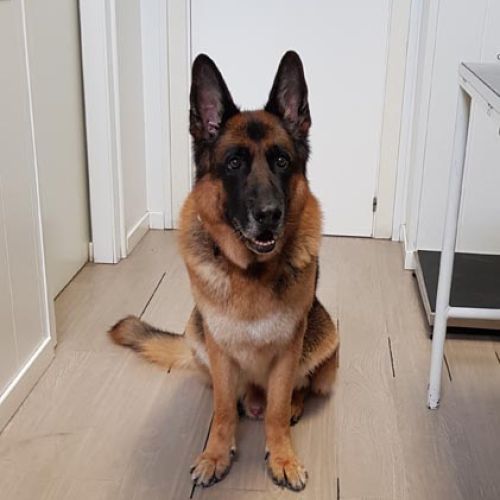 Imagen de uno de nuestros clientes