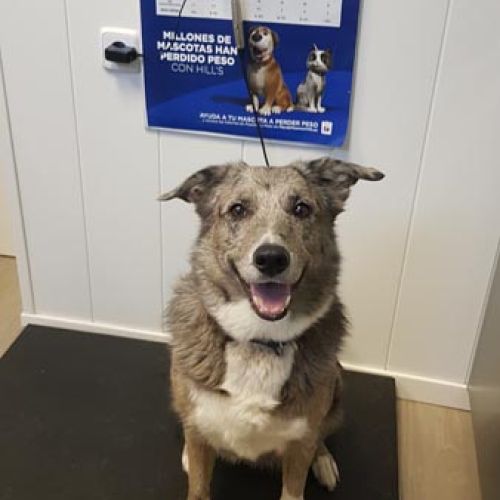 Imagen de uno de nuestros clientes