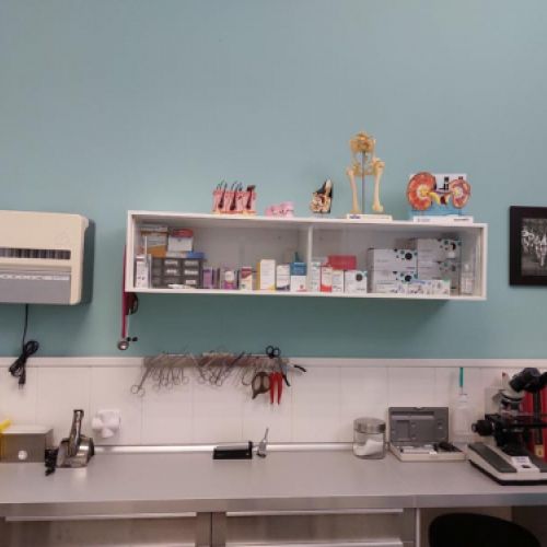 Detalle de la consulta