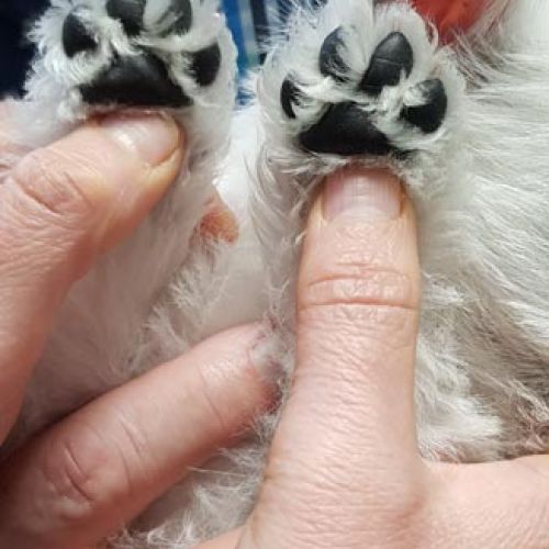 Imagen de uno de nuestros clientes