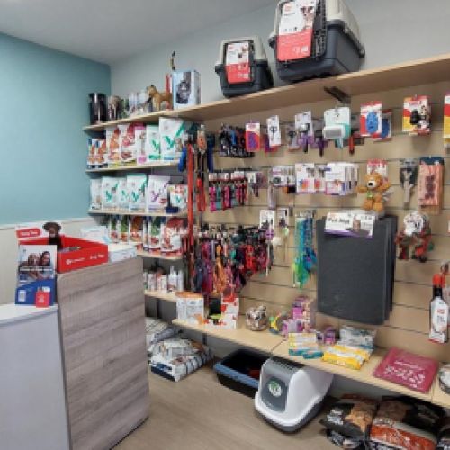 Imagen de la zona de tienda