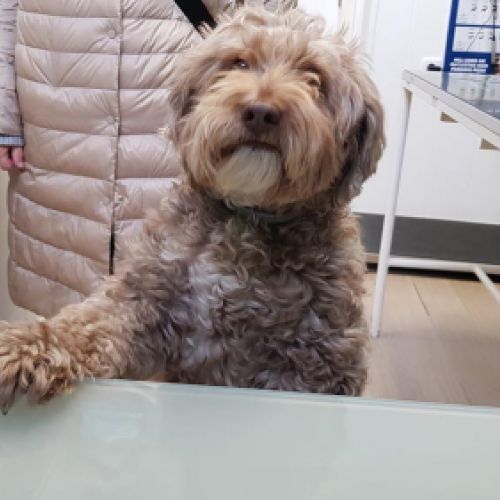 Imagen de uno de nuestros clientes