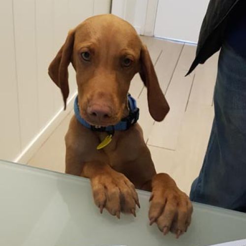 Imagen de uno de nuestros clientes