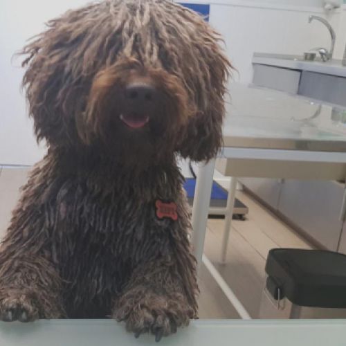 Imagen de uno de nuestros clientes